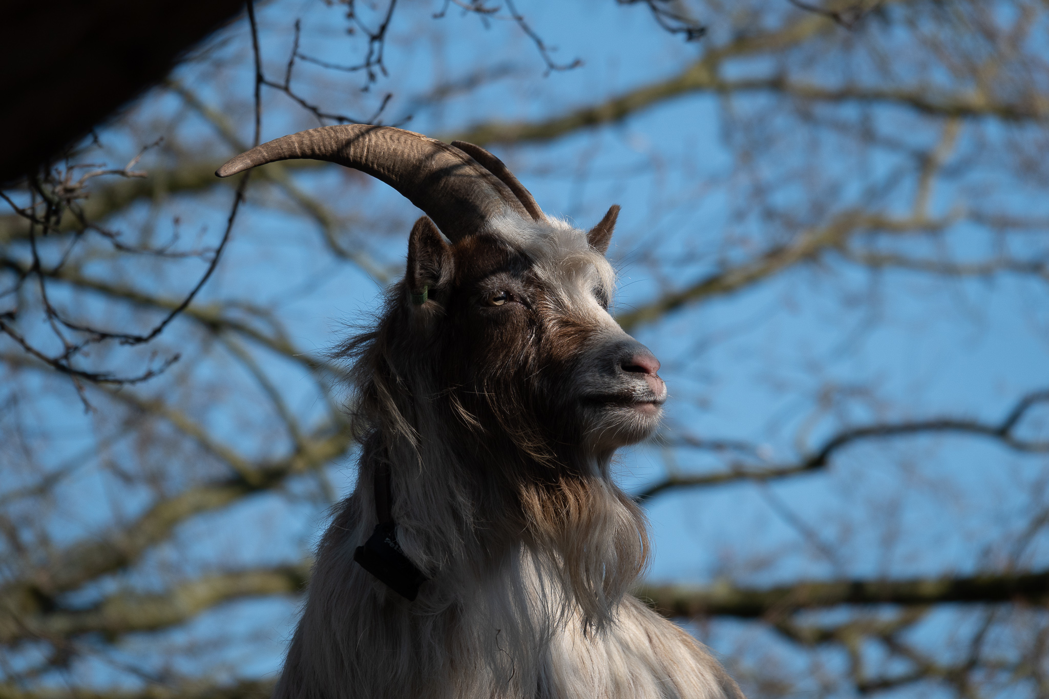 20260321   Fototrip Maart   Naarden vesting   046